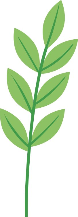 高言发布时间