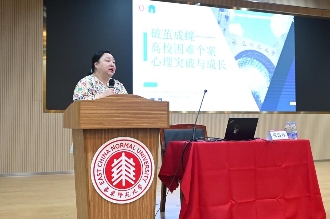 88 同类内容