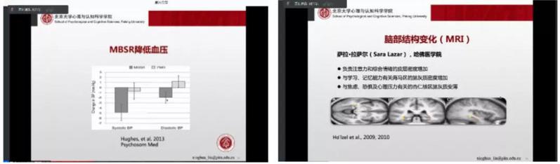 1589 同类内容