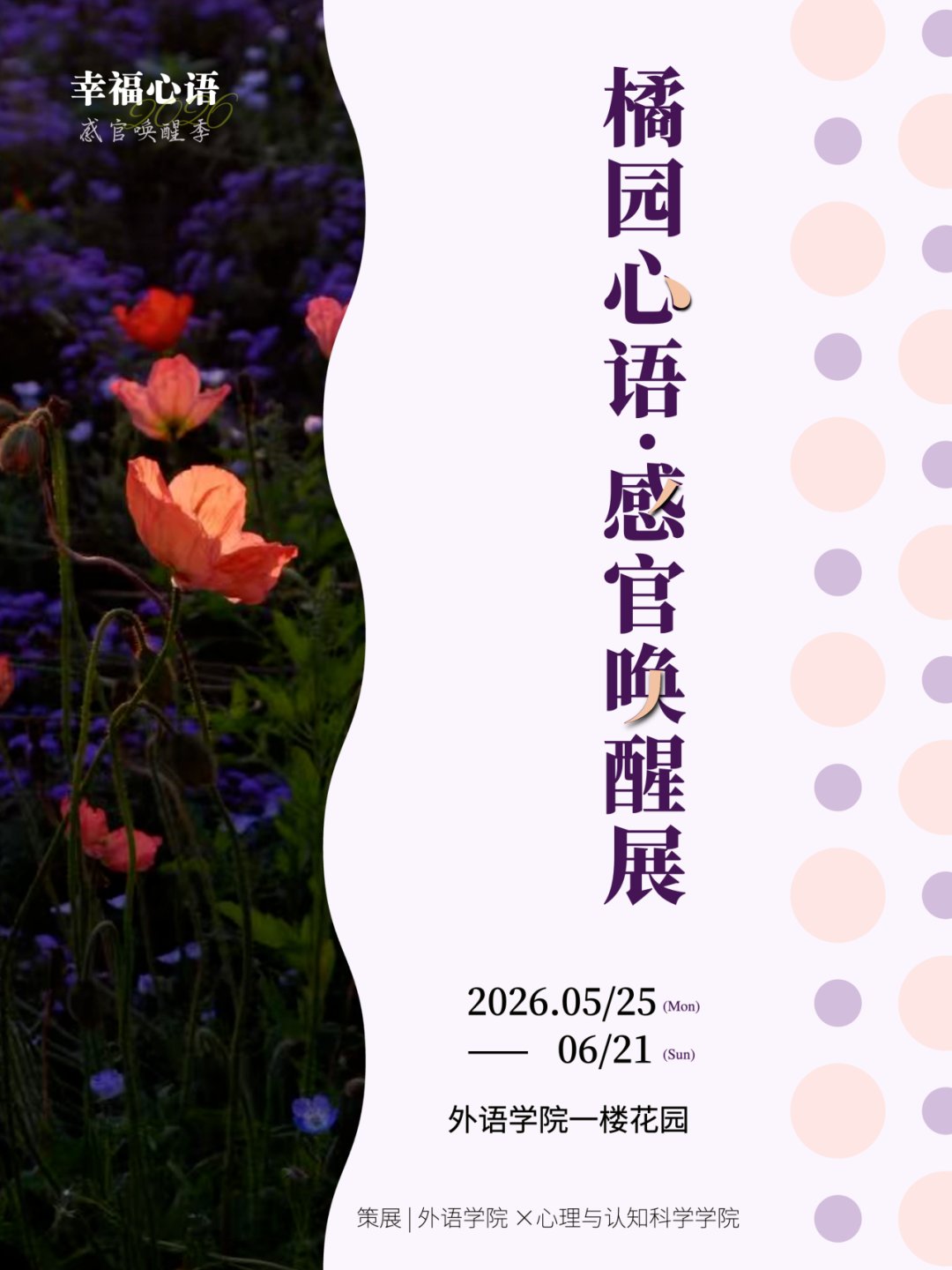 2026-05-21浏览次数